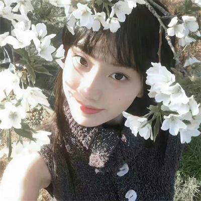 坏狗